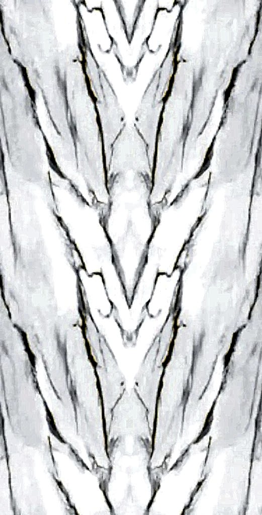 Z233 Gold Book Match Gloss